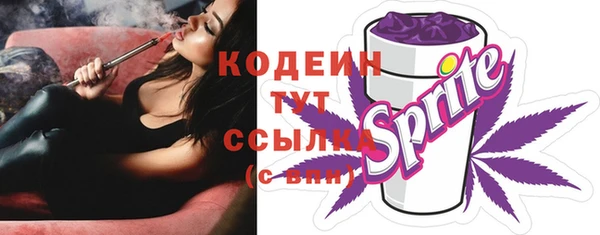 ПСИЛОЦИБИНОВЫЕ ГРИБЫ Заволжье