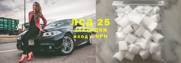 ПСИЛОЦИБИНОВЫЕ ГРИБЫ Заволжье