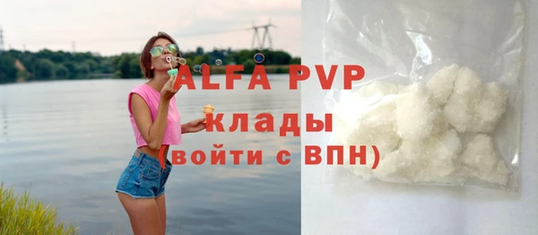 ПСИЛОЦИБИНОВЫЕ ГРИБЫ Заволжье