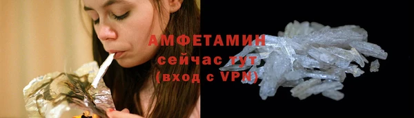 ПСИЛОЦИБИНОВЫЕ ГРИБЫ Заволжье