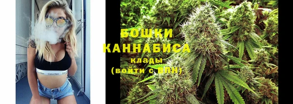 прущий лед Заводоуковск