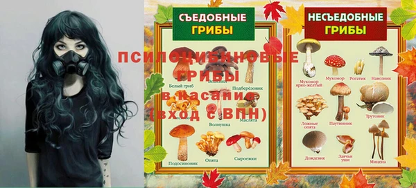 прущий лед Заводоуковск
