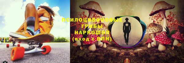 дживик Заволжск