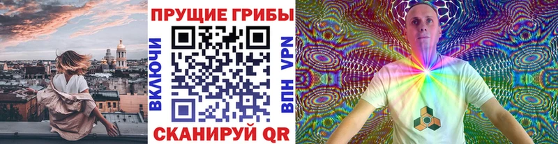 Купить закладки  Миллерово  Галлюциногенные грибы Cubensis 