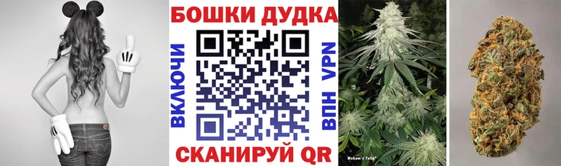 Купить закладки  Миллерово  Марихуана конопля 
